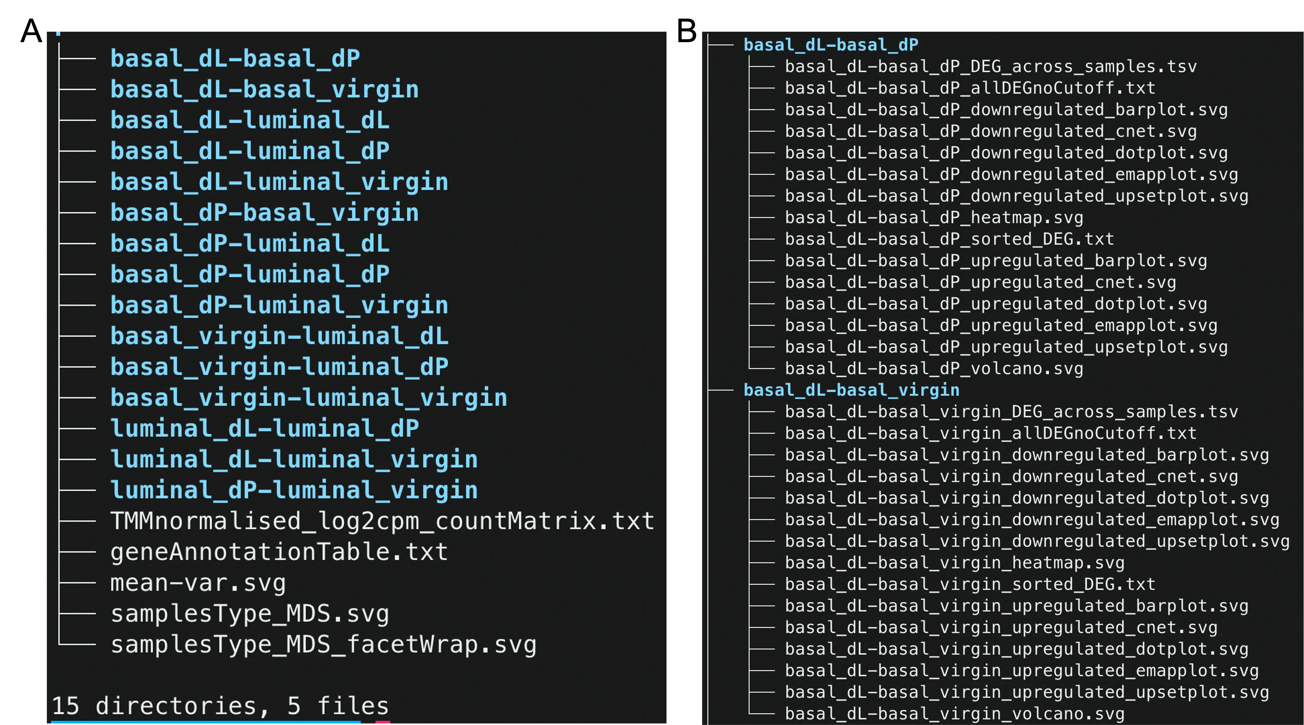 RNA-seq downstream results A) Top-level directory structure B) Contents of subfolders \labeldirStructure