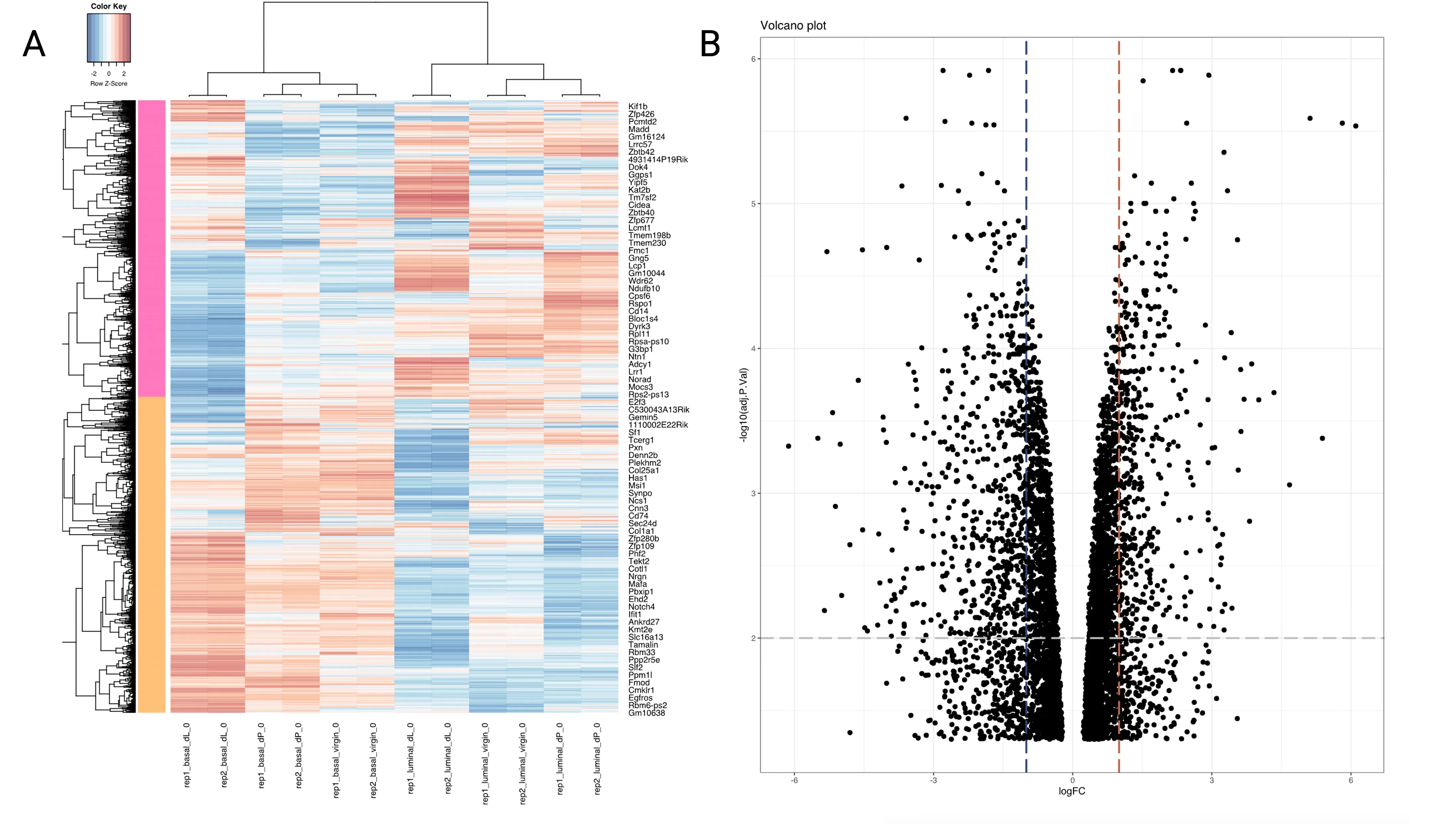 Visualisation of results of differential expression analysis between the basal_dL-basal_dP contrast A) Heatmap B) Volcano plot \labeldegvisuals