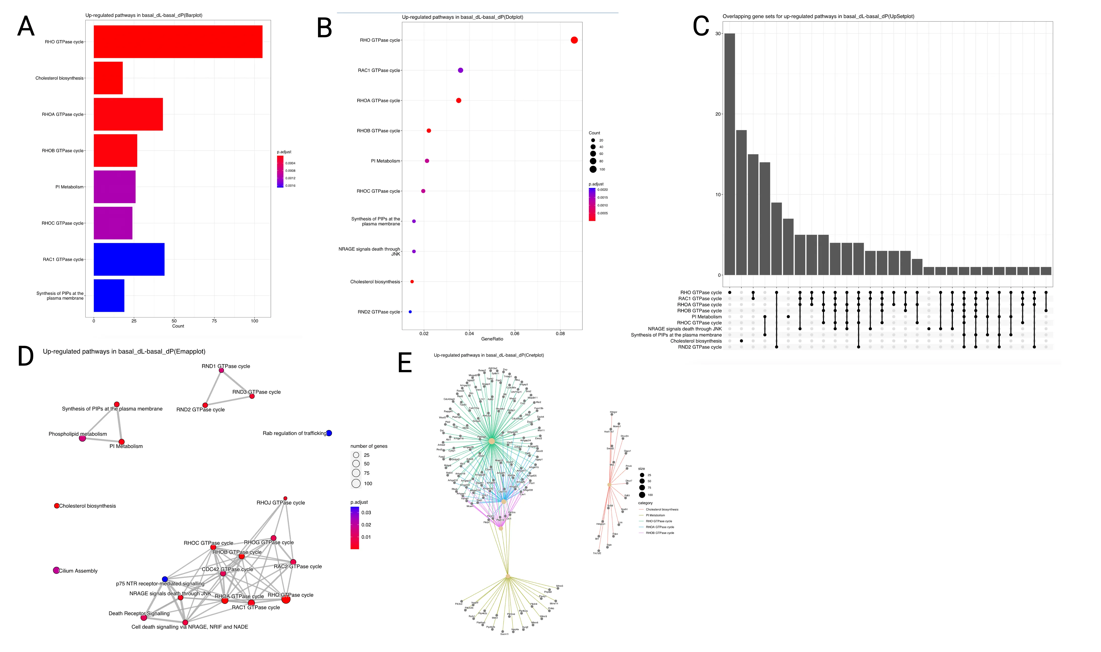 Reactome pathway enrichment analysis results A) Bar plot B) Dot plot C) UpSet plot D) Emap Plot E) Cnet plot \labelreactome